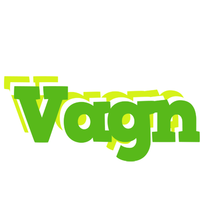 Vagn picnic logo