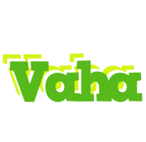 Vaha picnic logo