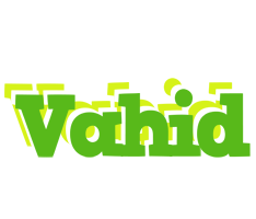 Vahid picnic logo