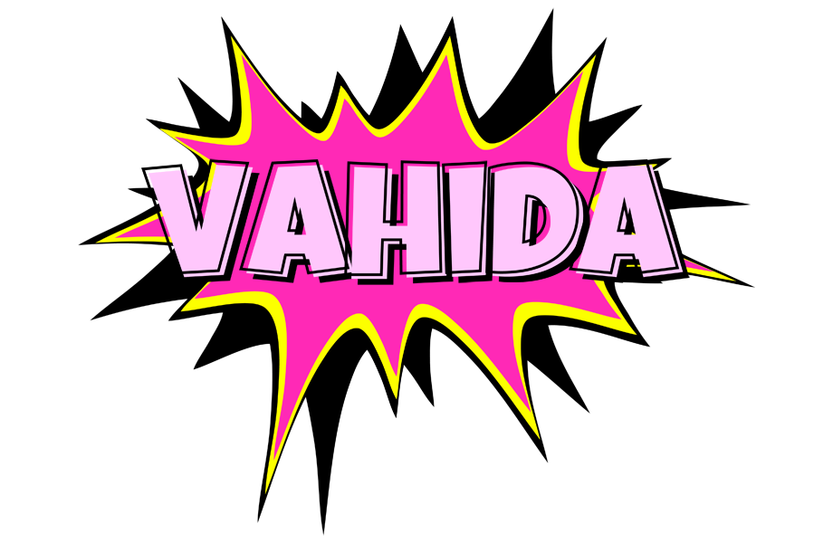 Vahida badabing logo