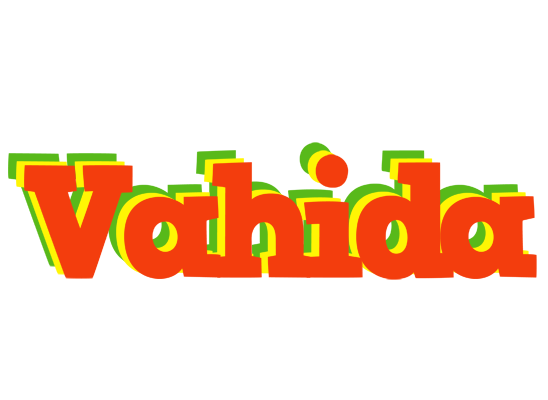 Vahida bbq logo