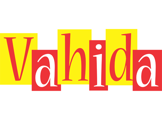 Vahida errors logo