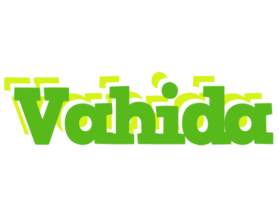 Vahida picnic logo
