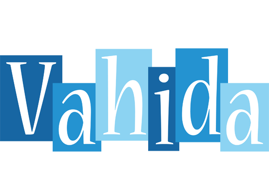 Vahida winter logo