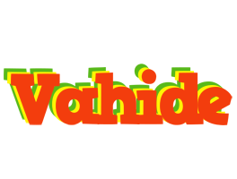 Vahide bbq logo