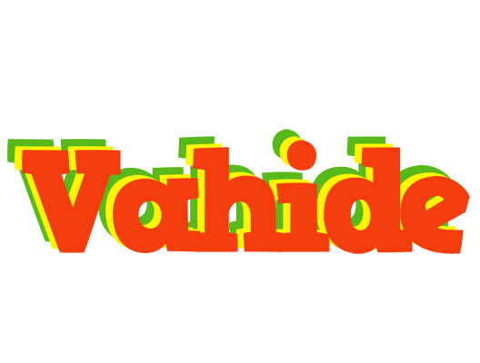 Vahide bbq logo