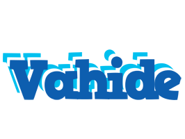 Vahide business logo