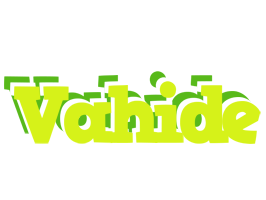 Vahide citrus logo