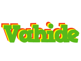 Vahide crocodile logo