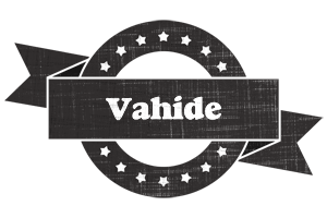 Vahide grunge logo