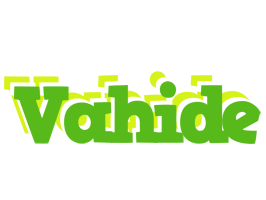 Vahide picnic logo
