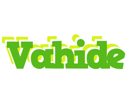 Vahide picnic logo