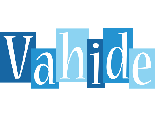 Vahide winter logo