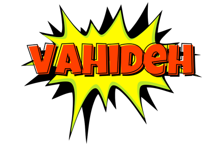 Vahideh bigfoot logo