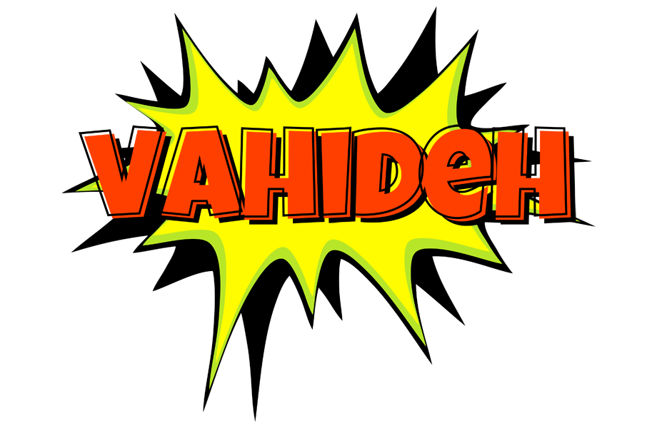 Vahideh bigfoot logo