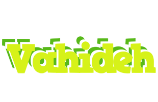 Vahideh citrus logo