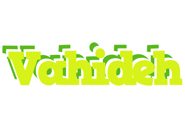 Vahideh citrus logo