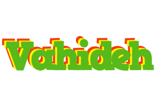 Vahideh crocodile logo