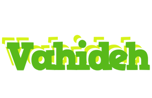 Vahideh picnic logo