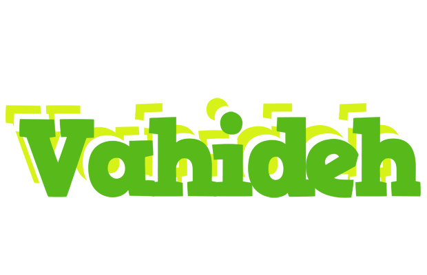Vahideh picnic logo