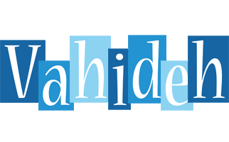 Vahideh winter logo