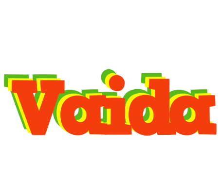 Vaida bbq logo