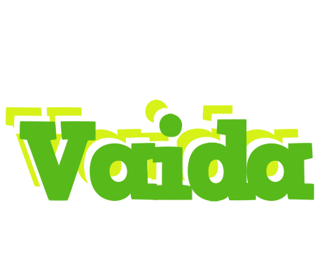 Vaida picnic logo