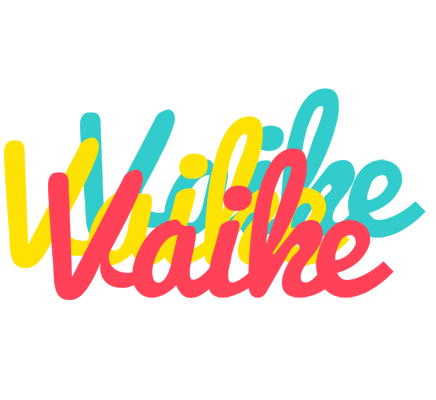 Vaike disco logo