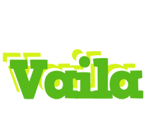 Vaila picnic logo