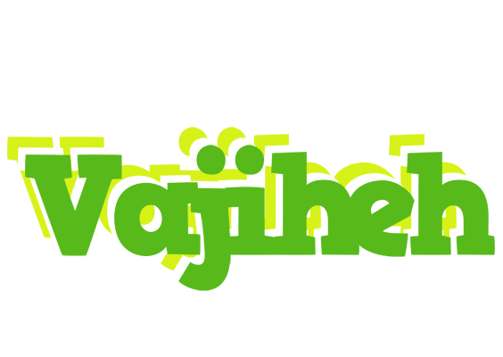 Vajiheh picnic logo