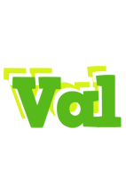 Val picnic logo