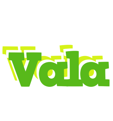 Vala picnic logo