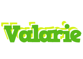 Valarie picnic logo