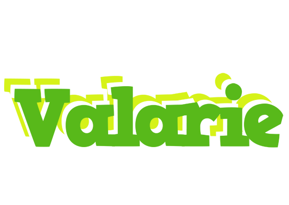 Valarie picnic logo
