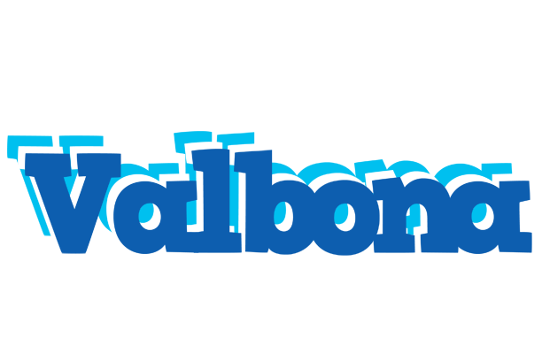 Valbona business logo