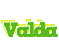 Valda picnic logo