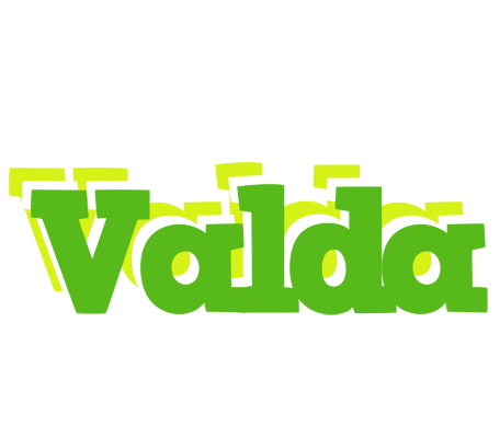 Valda picnic logo