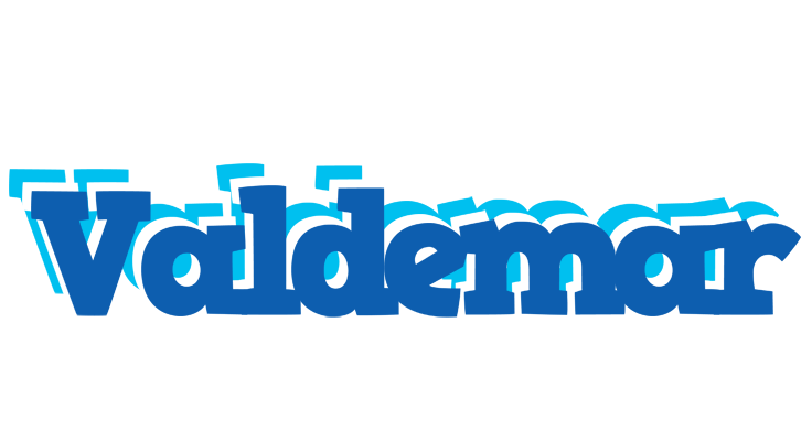 Valdemar business logo