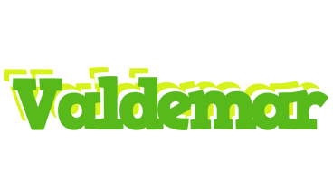 Valdemar picnic logo