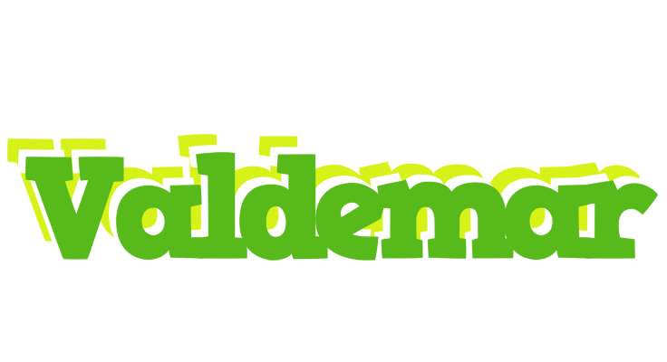 Valdemar picnic logo