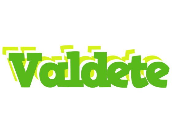 Valdete picnic logo