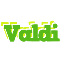 Valdi picnic logo