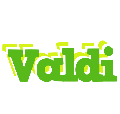 Valdi picnic logo
