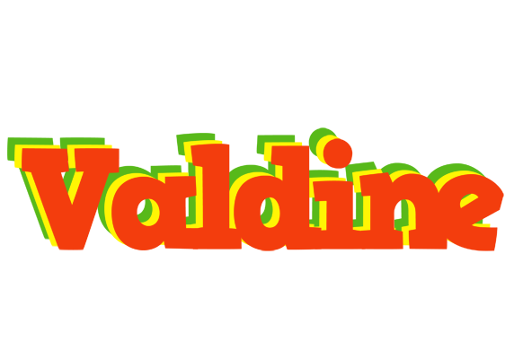 Valdine bbq logo