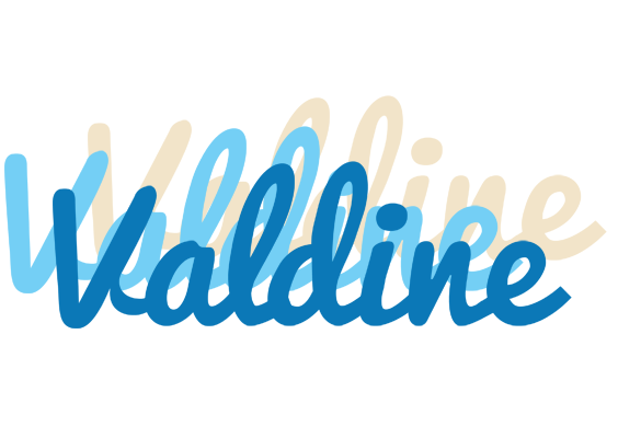 Valdine breeze logo
