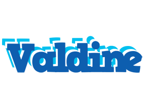 Valdine business logo