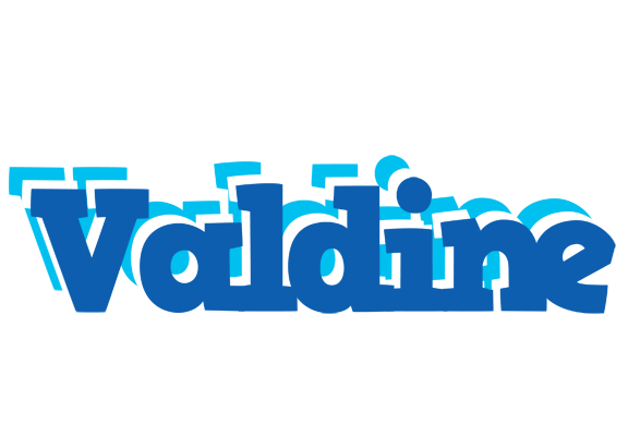 Valdine business logo