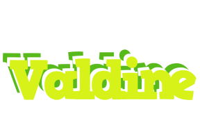 Valdine citrus logo