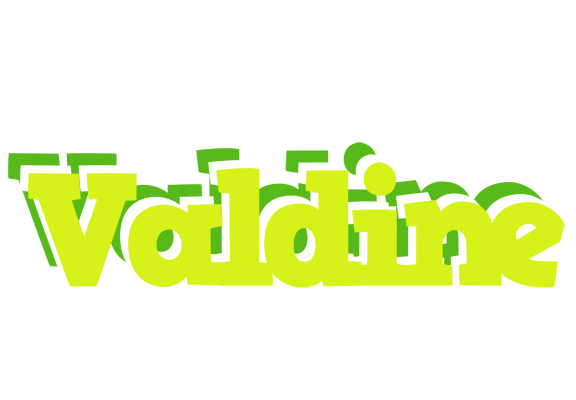 Valdine citrus logo