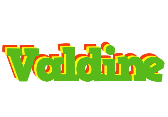 Valdine crocodile logo